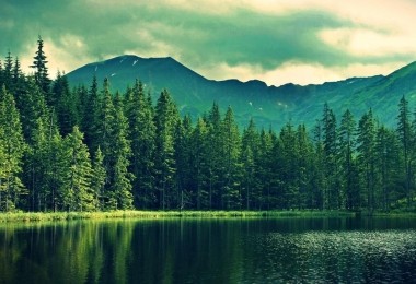 華時(shí)捷環(huán)保入選《國(guó)家鼓勵(lì)發(fā)展的重大環(huán)保技術(shù)裝備目錄》技術(shù)裝備支撐單位