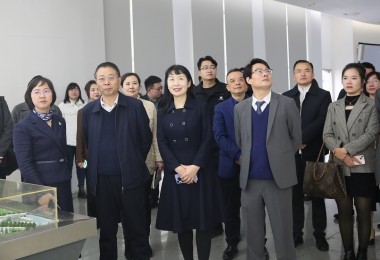 華時(shí)捷科技參加湘江新區(qū)“結(jié)伴同行·海外領(lǐng)秀”座談會(huì)，共謀國際化發(fā)展新路徑